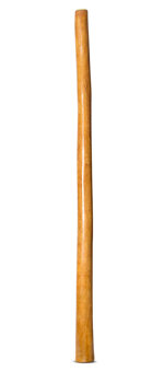 Gloss Finish Didgeridoo (TW1263)